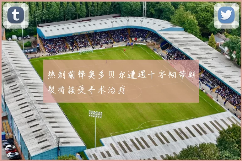 热刺前锋奥多贝尔遭遇十字韧带断裂将接受手术治疗