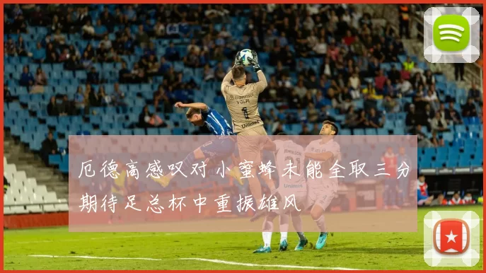 厄德高感叹对小蜜蜂未能全取三分期待足总杯中重振雄风