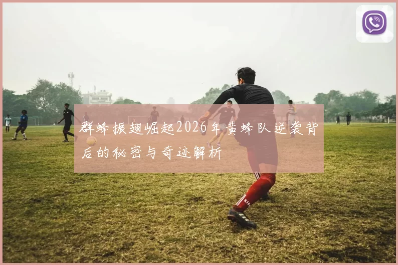 群蜂振翅崛起2026年黄蜂队逆袭背后的秘密与奇迹解析